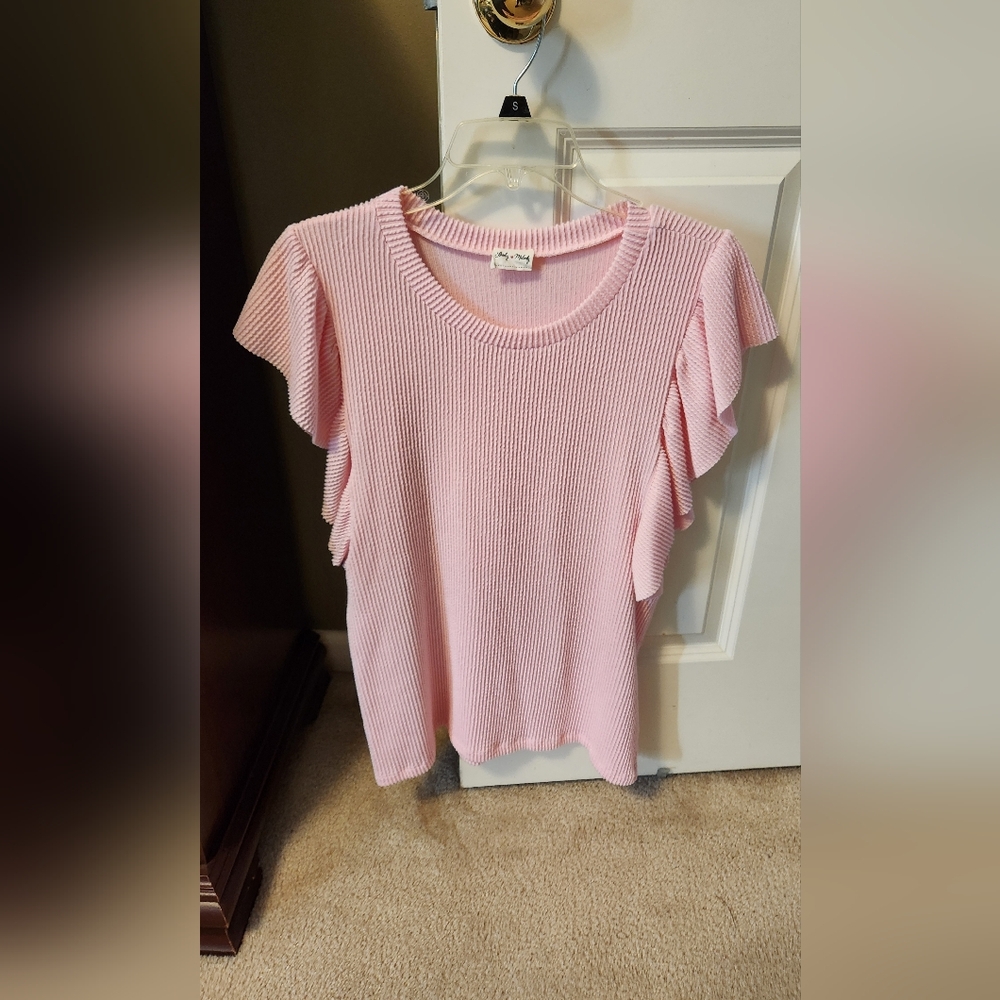 Lovely Melody Soft Pink Ruffle Sleeve Top
